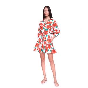 Cara Cara Robin dress in Poppy